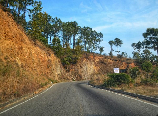 Histoire du marché des véhicules de collection
